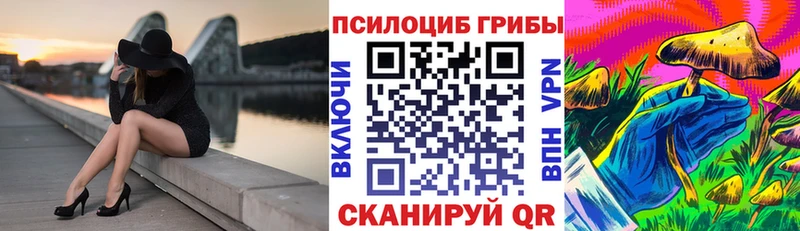 Псилоцибиновые грибы Psilocybe закладка Верхотурье