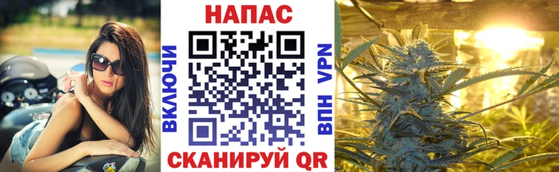 мориарти состав  Верхотурье  Марихуана White Widow 